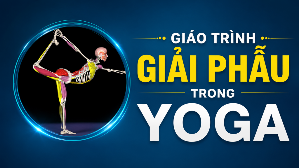 Giáo Trình Giải Phẫu Trong Yoga